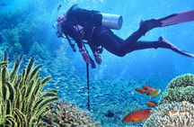 Zanzibar diving experiences from the North East coast