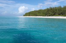 Zanzibar diving experiences from the North East coast