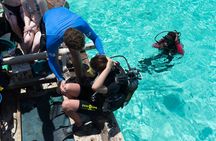 Zanzibar diving experiences from the North coast