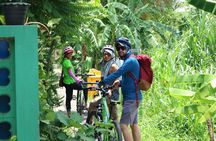 Bike and Canal boat tour of Bangkok with lunch
