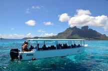 Bora Bora Glass-Bottom Boat Tour