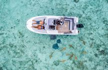 Bora Bora blue lagoon cruise