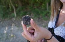 3-hour truffle hunting tour at Les Pastras