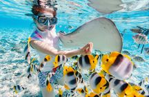 Lagoon private snorkeling tour in Bora Bora
