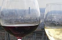 Historical wine tasting and walking tour in Vienna