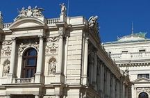 Vienna private city center and hills tour with a van