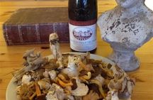 Mushroom hunting in Provence with breakfast