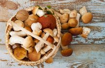 Mushroom hunting in Provence with breakfast