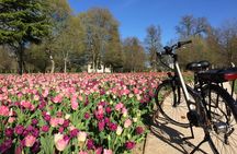 Loire Valley e-bike tour with Chateau de Cheverny and wine tasting