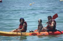 Algarve caves and wild beaches kayak tour