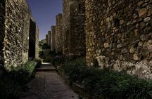 Alcazaba and Roman Theatre guided tour in Málaga