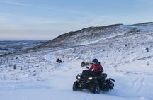 2-hour ATV tour to Twin Peaks