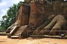 Sigiriya rock and Dambulla caves tour from Colombo