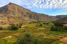 Half-day mountain safari to Jebel Harim