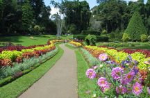 Kandy day tour from Colombo