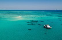 Fast stylish Catamaran in the Great Barrier Reef