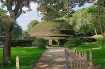 Sigiriya Rock and Dambulla Cave Temple tour from Kandy