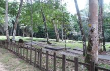 Jodensavanne and Overbridge full-day guided tour