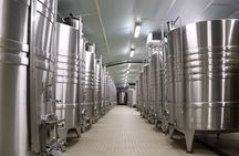 Guided Tour of the Vollereaux Champagne Cellar with tasting