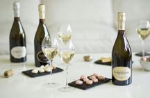 Guided Tour of the Vollereaux Champagne Cellar with tasting