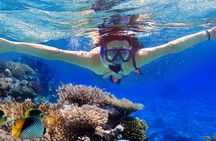 Eilat coral reef snorkeling with instructor