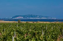 Small-group wine tasting tour from Sète