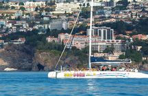 Madeira wine tasting and dolphin watching tour