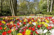 Keukenhof ticket with transfer