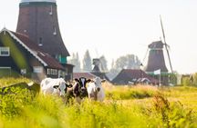 Volendam and Marken tour from Amsterdam