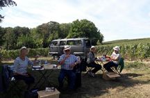 Guided tour of the Vollereaux Champagne cellar with a picnic in the vineyard