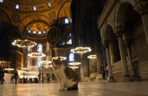 Unmissable Istanbul classics private guided tour