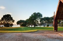 Waitangi Treaty Grounds Experience Pass