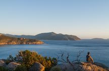 Wilson's Promontory National Park full-day tour