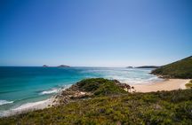 Wilson's Promontory National Park full-day tour