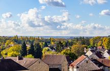 Van Gogh's private tour in Auvers-sur-Oise from Paris
