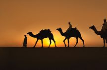 Naqb National Park in a 4x4 with camel ride and dinner