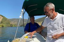 Douro valley wine venture and boat trip