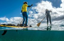 Lanzarote Stand Up Paddle & Snorkel Ticket