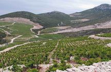 Tour from Dubrovnik to Ston with wine tasting
