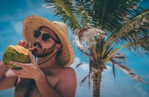 Key West tour with dolphin watching from Miami