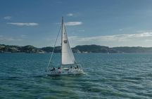 Tagus River private boat tour