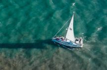 Tagus River private boat tour