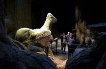 Harry Potter Studios and walking tour of London film locations