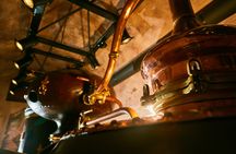 Cognac vineyards and distilleries half-day private tour from Charente