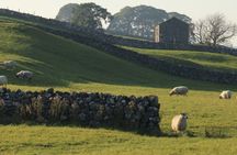 Tour of the Yorkshire Dales from Windermere