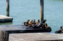 San Francisco bus tour with Bay cruise