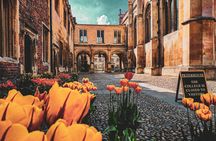 Discover Cambridge with a self-guided winter audio tour collection