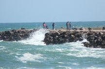 Private half-day boat tour in Ria Formosa