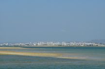 Private half-day boat tour in Ria Formosa