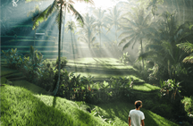 Bali Private Car Rental With Driver